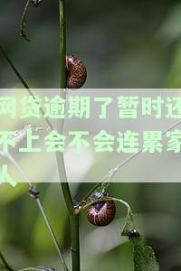 网贷逾期了暂时还不上会影响征信吗，网贷逾期未还会对征信产生影响吗？
