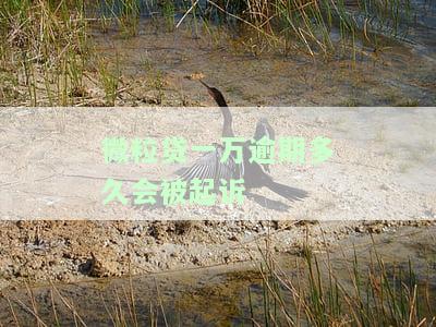 微粒贷逾期一万五，多久会被起诉？