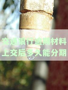 交通银行逾期材料上交后多久能分期还款，如何申请交通银行逾期分期还款？材料提交后的处理时间是多久？
