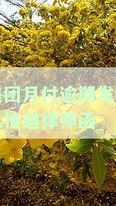美团月付逾期发什么快递律师函-美团月付逾期发什么快递律师函呢
