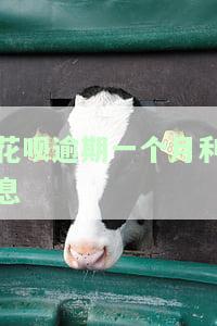 花呗逾期了利息是怎样算的，如何计算花呗逾期后的利息？