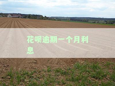 如何计算借呗逾期利息？费用高吗？是否会超过本金？详细解析