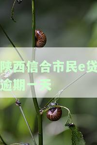 陕西信合市民e贷逾期一天怎么办，陕西信合市民e贷逾期一天的解决方法
