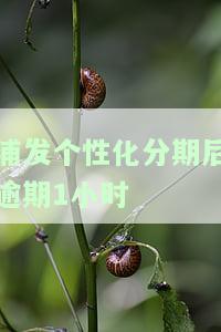 浦发个性化分期后逾期1小时是否算作逾期？已成功办理但欠款金额不、是否会收取利息、需签订协议吗？为何在未逾期前提下提交申请也能成功，且无相关通知。