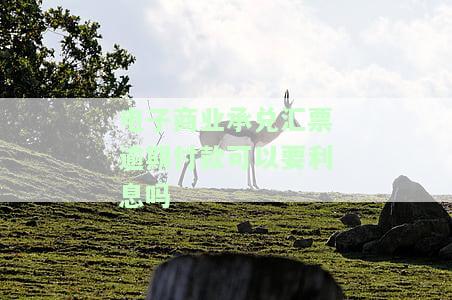 电子商业承兑汇票逾期提示付款说明及原因分析