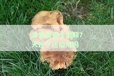 浦发信用卡逾期，警惕！浦发信用卡逾期可能带来的严重后果