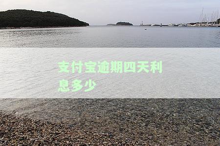 支付宝逾期四天：会被要求一次性还清吗？包括信用卡、本金及额度恢复问题