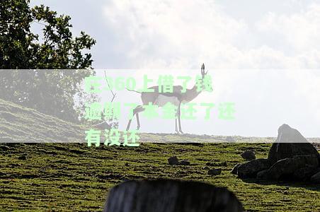 在360上借了钱逾期了本金还了还有没还的吗，在360借款逾期未还，仅归还本金是否已经全部清偿？