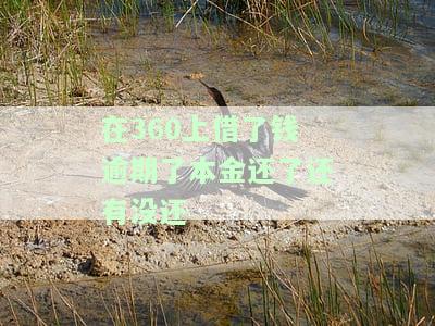 360逾期后还款，额度仍未恢复，如何再次借款？