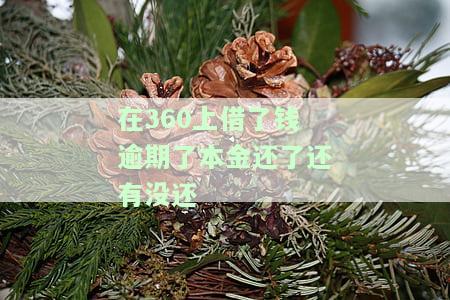 360贷款逾期只还本金不还利息可以吗，是否可以仅归还360贷款的本金而不支付利息？