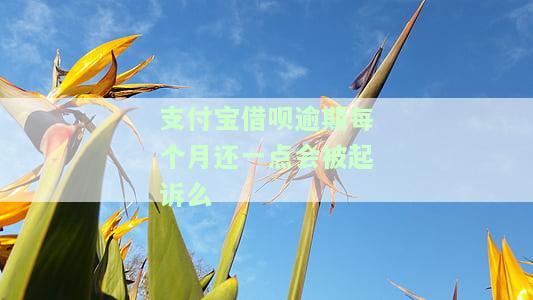 支付宝借呗逾期每个月还一点会被起诉么-支付宝借呗逾期每个月还一点会被起诉么