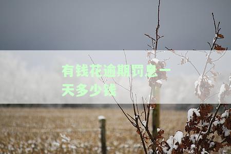 有钱花逾期罚息怎么计算？了解逾期后果及利息、罚金、还款影响