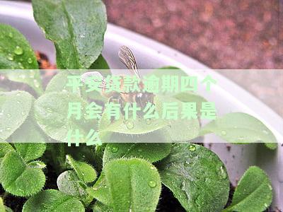平安银行逾期四个月了,不知道怎么办，急需解决！平安银行信用卡逾期四个月，应该采取什么措？