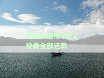 微粒贷逾期5天了说要全部还款什么意思，微粒贷逾期5天，需要一次性还清吗？