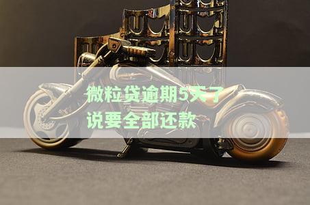 微粒贷逾期五天被要求还全款是什么意思？会产生什么后果？是否会通知家人？