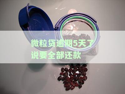 微粒贷逾期五天还款影响再次借款吗？