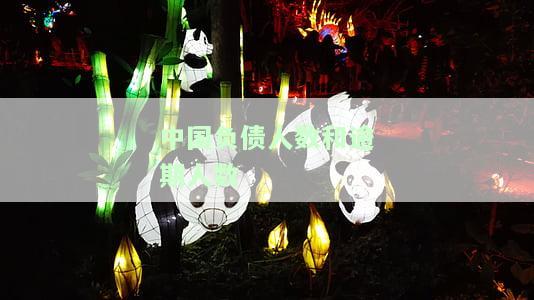 中国负债人数比例：2021年统计显示8.8亿人负债，占全国人口比例多少？