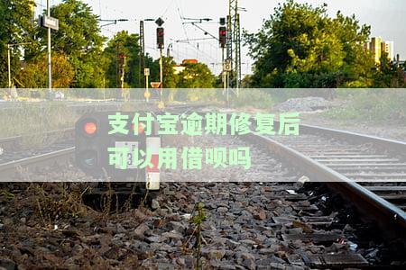 支付宝逾期修复了会上征信吗，支付宝逾期是否会影响个人征信？答案在这里！