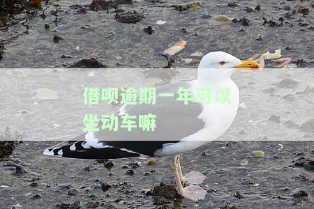 借呗逾期一年可以坐动车嘛会被拒吗，借呗逾期一年，还能顺利乘坐动车吗？可能会被拒哦！