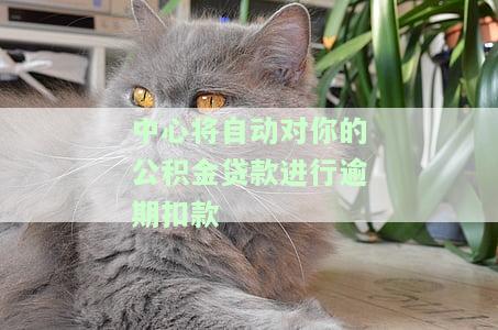 中心将自动对你的公积金贷款进行逾期扣款？真的吗？公积金贷款扣款逾期影响征信吗？公积金贷款扣款会吗？公积金中心未扣款造成公积金贷款还款逾期怎么办？