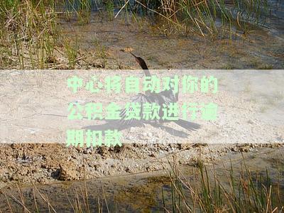 住房公积金贷款自动扣款失败，公积金贷款自动扣款失败，该如何解决？