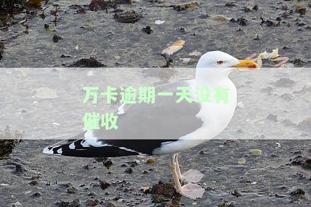 万卡逾期一天没有催收-万卡逾期一天没有催收怎么办