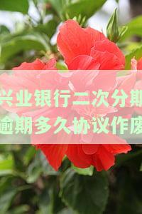 兴业银行怎么办二次分期，如何在兴业银行办理二次分期？详细步骤解析