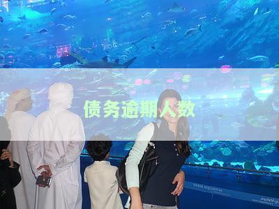 债务逾期173亿元，生物质发电第一股濒临退市风险
