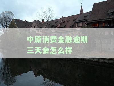 中原消费金融逾期三天会怎么样