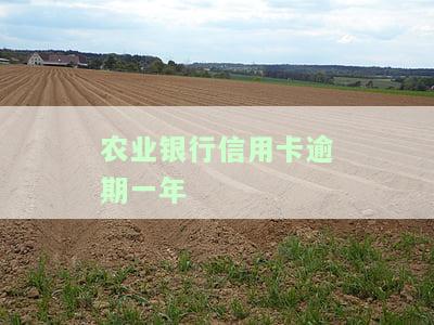 农业银行信用卡逾期一年多了，可以协商分期还款吗？了解最新法规与处理方式