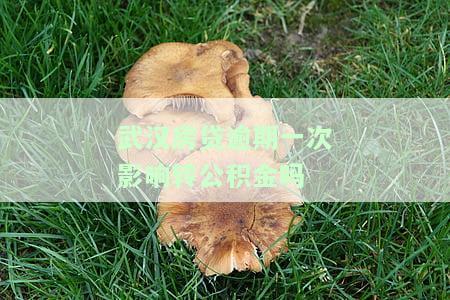 武汉商贷逾期一次影响转公积金贷款，武汉商贷逾期一次，将会影响公积金贷款申请