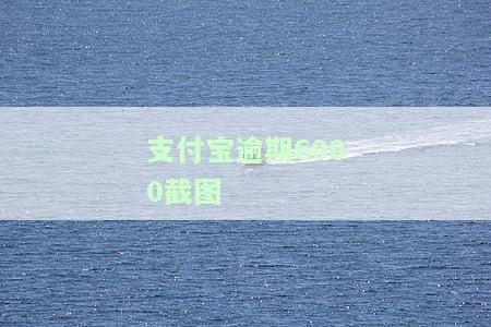 支付宝逾期600元：会起诉吗？影响及解决办法