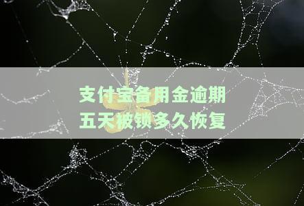 支付宝备用金逾期五天被锁多久恢复使用，支付宝备用金逾期五天后，账户将被锁定多长时间才能恢复使用？