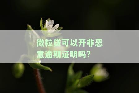 微粒贷可以开非恶意逾期证明吗怎么开，如何开具非恶意逾期证明？微粒贷可以帮忙吗？