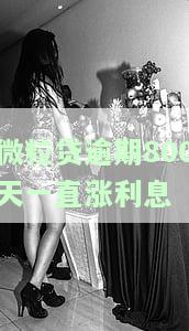 2020微粒贷逾期80天，逾期警示：微粒贷用户需警惕，80天未还款将面临严重后果！