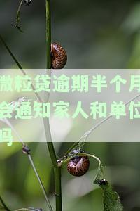 微粒贷逾期半月，真的会被起诉吗？该怎样应对？后果严重吗？逾期2个月收到法院起诉信息，会不会联系家人？逾期30天被起诉的风险大吗？