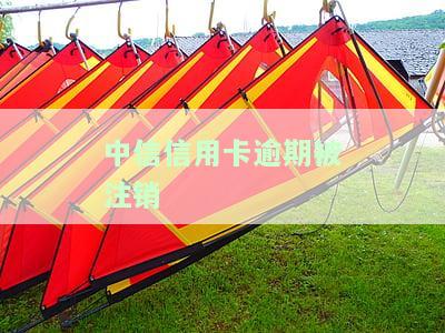 中信信用卡逾期注销了还能申请信用卡吗，中信信用卡逾期注销后，能否再次申请信用卡？