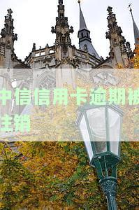 中信信用卡逾期注销了再申请了自己能回来吗，中信信用卡逾期注销后能否再次申请？答案在这里！