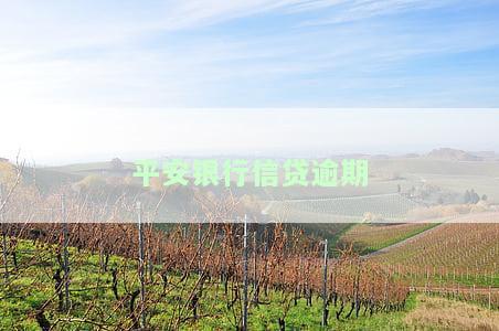 平安银行信贷逾期怎么办，如何处理平安银行信贷逾期问题？