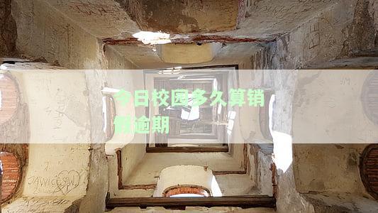 今日校园销假时间限制：了解销假围、流程及后果