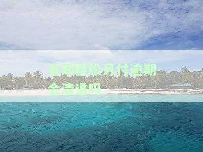 自如轻松付上征信吗，自如轻松付是否会纳入个人征信报告？