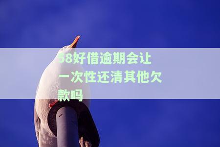 58好借逾期会让一次性还清其他欠款吗-58好借逾期会让一次性还清其他欠款吗是真的吗