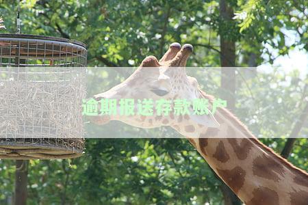 逾期报送存款账户怎么处理，如何处理逾期报送的存款账户？