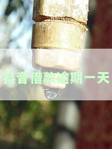 抖音借款逾期一天会怎么样，抖音借款逾期一天的后果是什么？