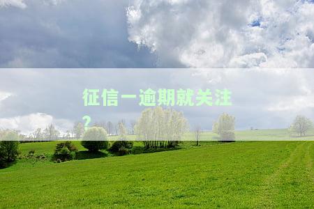 征信一逾期就关注了？影响大吗？逾期后多久更新关注状态？逾期后被关注是什么意思？逾期记录能自动消除吗？