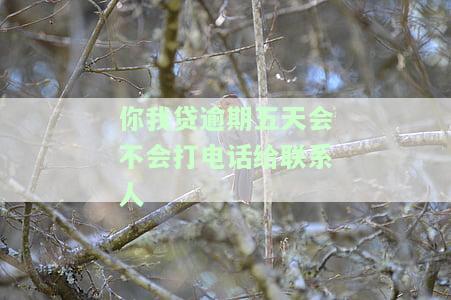 你我贷逾期5天,打了一个联系人说6点以前，你我贷逾期5天，联系人收到催款通知要求6点前还款