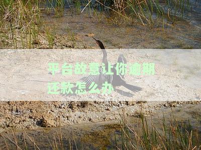 网贷平台故意让你逾期？可以报警！如何处理？