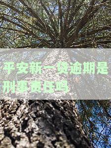 平安新一贷逾期是刑事责任吗-平安新一贷逾期是刑事责任吗知乎