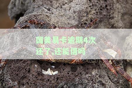 国美易卡逾期4次还了,还能借吗