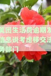 美团生活费逾期发信息说考虑移交法务部门-美团生活费逾期20天发信息移交司法机关